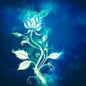 Meet your Posher, Jacqui